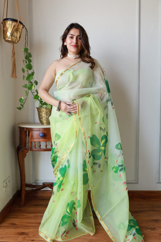 HAND BURSH PAINTED ORGANZA SILK SAREE WITH BLOUSE (CIB22)