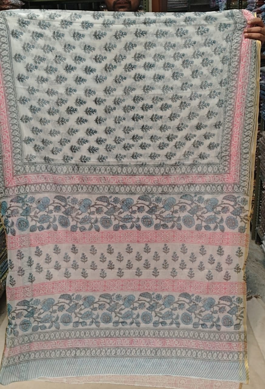 Hand Brush Painted Chiffon Saree with Blouse ( CIA43)