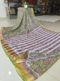 Hand Brush Painted Chiffon Saree with Blouse ( CIA82)