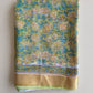 Hand Brush Painted Chiffon Saree with Blouse ( CIA77)